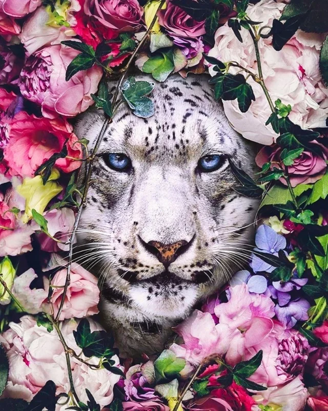 Hayvan temalı duvar kağıdı-hyvt-209