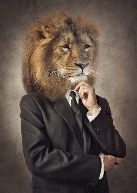 lider takim elbiseli karizmatik aslan 3d hayvan temali duvar kagidi