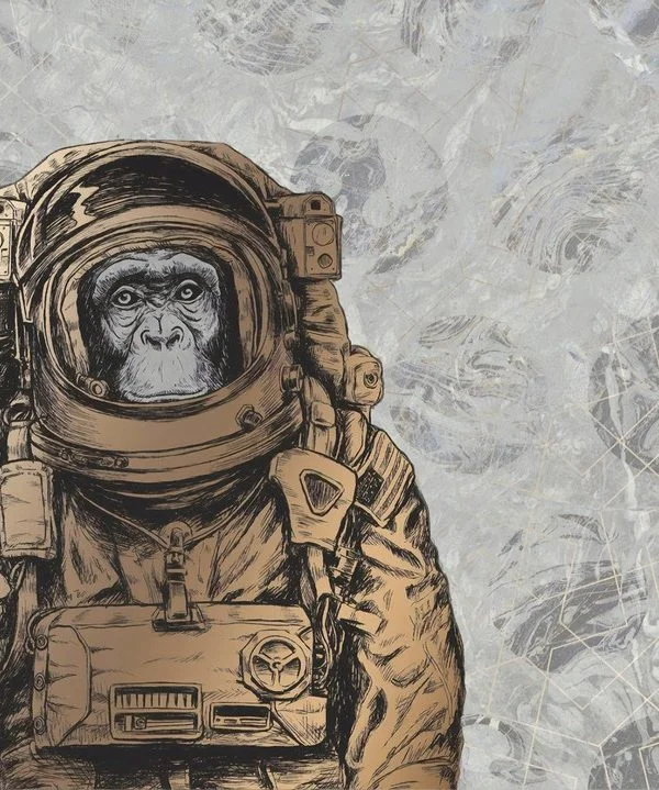 astronot maymun uzay temali 3d hayvan duvar kagidi