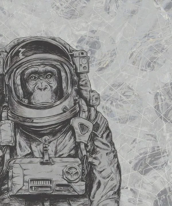 kozmik eskiz astronot sempanze 3d hayvan temali duvar kagidi