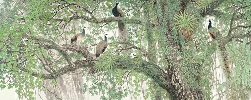 Hayvan temalı duvar kağıdı-hyvt-213