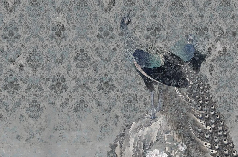 Hayvan temalı duvar kağıdı-hyvt-211