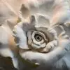 naturel alci beyazi dev gul rolyef duvar kagidi