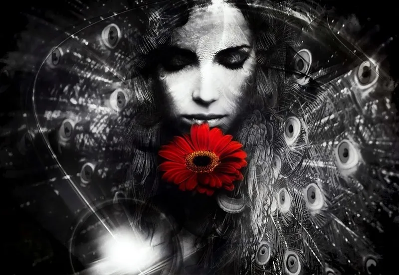 Eviniz için özel tasarım tavus kuşu tüyleri arasında kırmızı çiçekli kadın portreli dikişsiz duvar kağıdı.