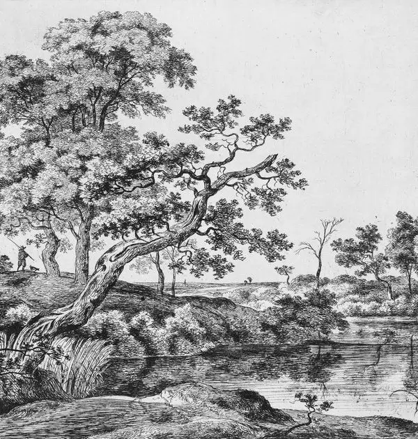 Trendyol gravür desenli nehir kenarı ve oltalı balıkçı figürlü gri duvar posteri bursa ve Hepsiburada eski dönem nehir manzaralı meşe ağacı desenli duvar kağıdı modelleri bursa