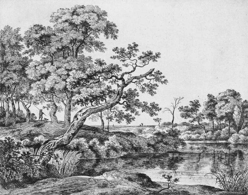 Trendyol gravür desenli nehir kenarı ve oltalı balıkçı figürlü gri duvar posteri bursa ve Hepsiburada eski dönem nehir manzaralı meşe ağacı desenli duvar kağıdı modelleri bursa