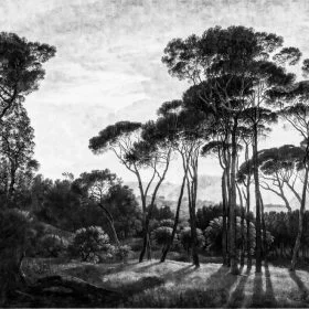 Trendyol fıstık çamı ve sosyal yaşam temalı duvar posteri bursa ve Hepsiburada Akdeniz çamı desenli duvar kağıdı modelleri bursa