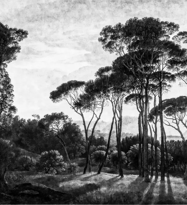 Trendyol fıstık çamı ve sosyal yaşam temalı duvar posteri bursa ve Hepsiburada Akdeniz çamı desenli duvar kağıdı modelleri bursa