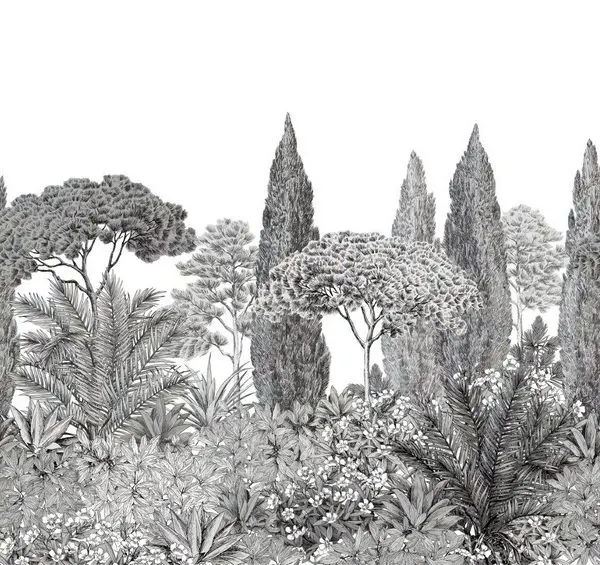 Trendyol siyah beyaz selvi ve fıstık çamı desenli Akdeniz ormanı duvar posteri bursa ve Hepsiburada botanik bahçe temalı monochrome duvar kağıdı modelleri bursa