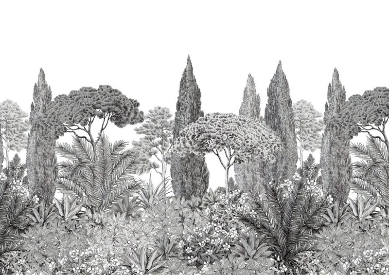 Trendyol siyah beyaz selvi ve fıstık çamı desenli Akdeniz ormanı duvar posteri bursa ve Hepsiburada botanik bahçe temalı monochrome duvar kağıdı modelleri bursa