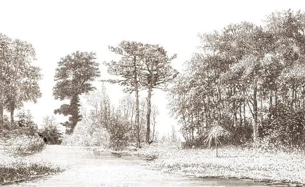 Monochrome Duvar Kağıdı-mnch-377