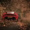 efsanevi kirmizi ferrari sonbahar orman yolu duvar kagidi