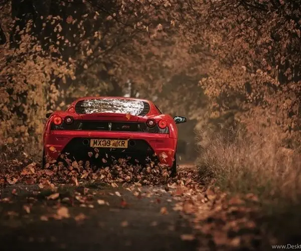 efsanevi kirmizi ferrari sonbahar orman yolu duvar kagidi