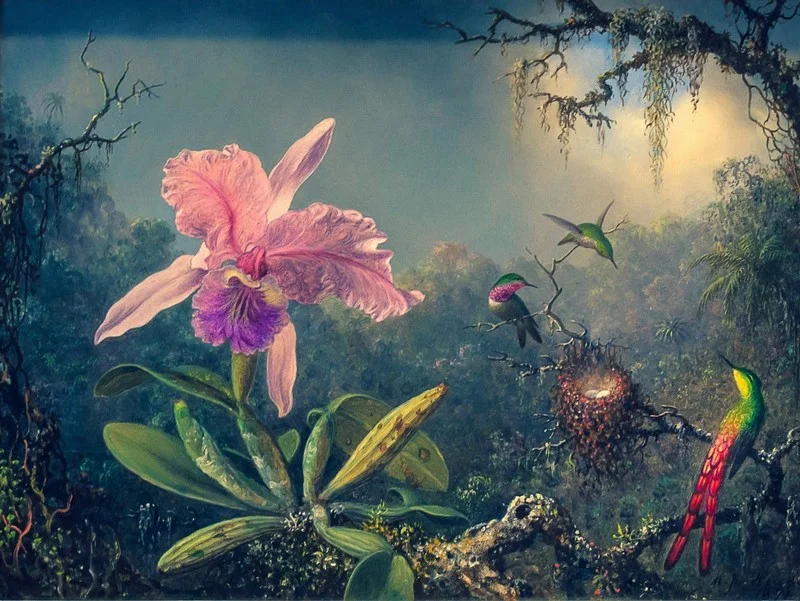 Egzotik bir ormanda dev pembe orkide çiçeği ve etrafında uçan renkli kolibri kuşları temalı 3D dijital baskı gerçek duvar kağıdı.