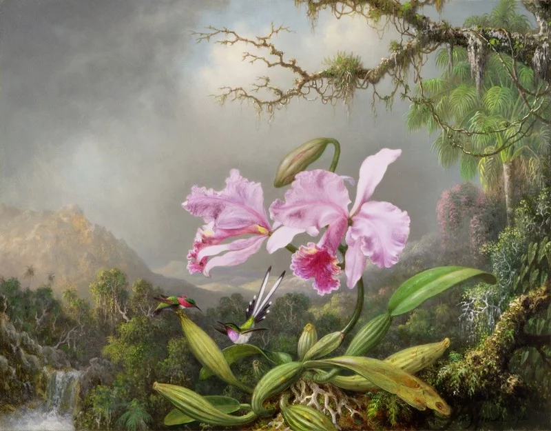 Sisli dağlar, orman içerisindeki şelale ve ön planda pembe büyük orkideler ile sinek kuşlarını içeren 3D dijital baskı gerçek duvar kağıdı.