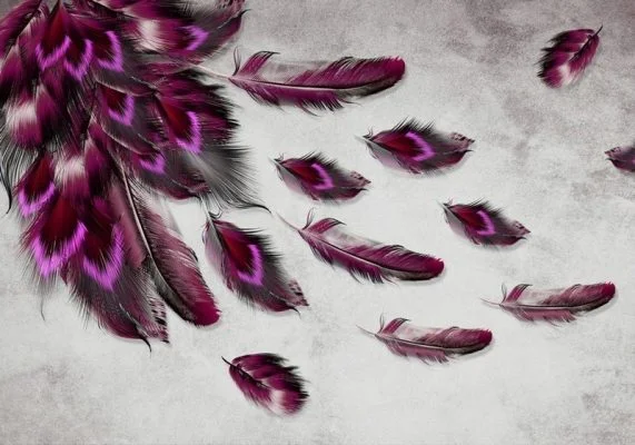 Gri beton zemin üzerinde uçuşan mor ve fuşya renkli tüy desenli dijital baskı duvar kağıdı.