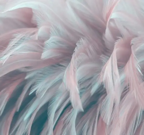 Soft pembe ve mavi tonlarda makro çekim tüy dokulu dikişsiz tekstil duvar kağıdı.