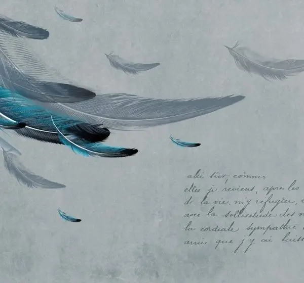 Koyu gri beton zemin üzerinde turkuaz tüyler ve Fransızca el yazısı detaylı dikişsiz tekstil duvar kağıdı.