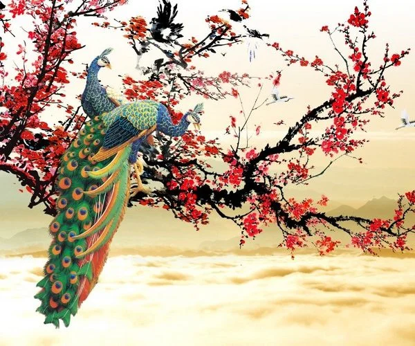 cennetin kanatlari tavus kusu ve sakura desenli 3d duvar kagidi