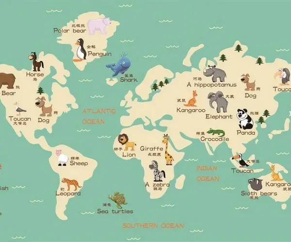 mint orman atlasi hayvan figurlu 3d cocuk duvar kagidi