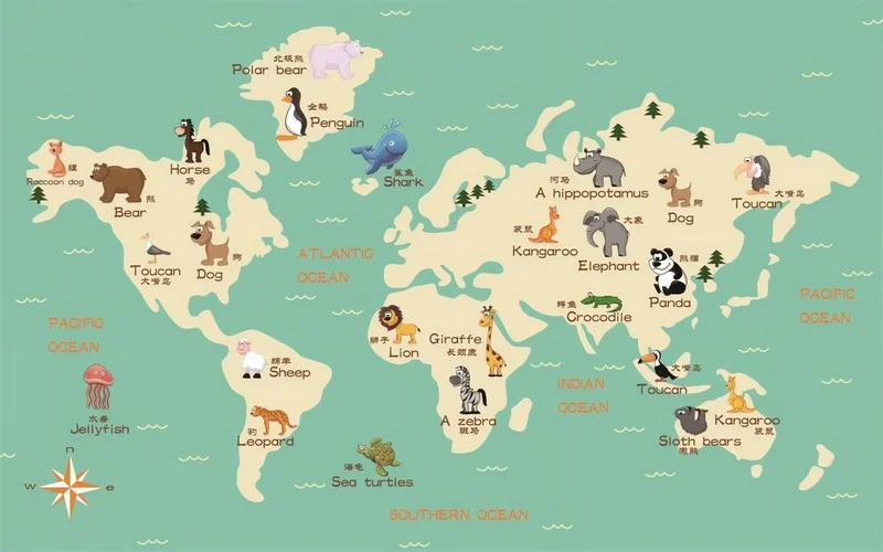 mint orman atlasi hayvan figurlu 3d cocuk duvar kagidi