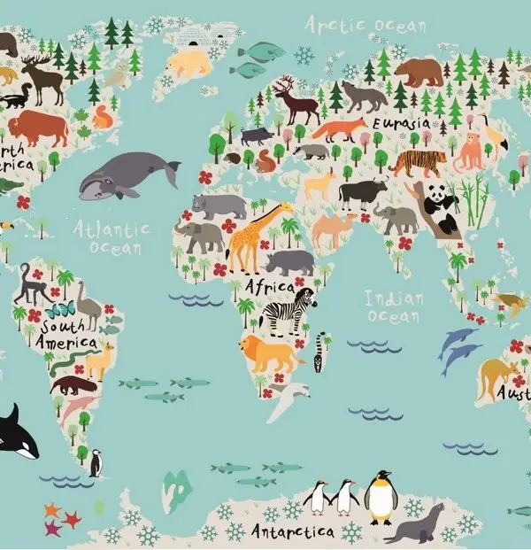 mavi dusler kesif atlasi hayvanli 3d cocuk duvar kagidi