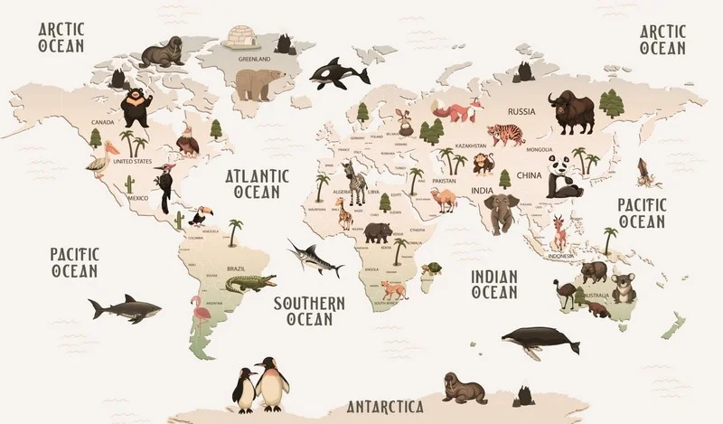 antik kasifler egitici hayvanli 3d cocuk duvar kagidi