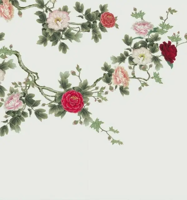 sut beyazi zemin uzerinde sarkan koyu kirmizi ve pembe saray gulu cicekleri duvar kagidi