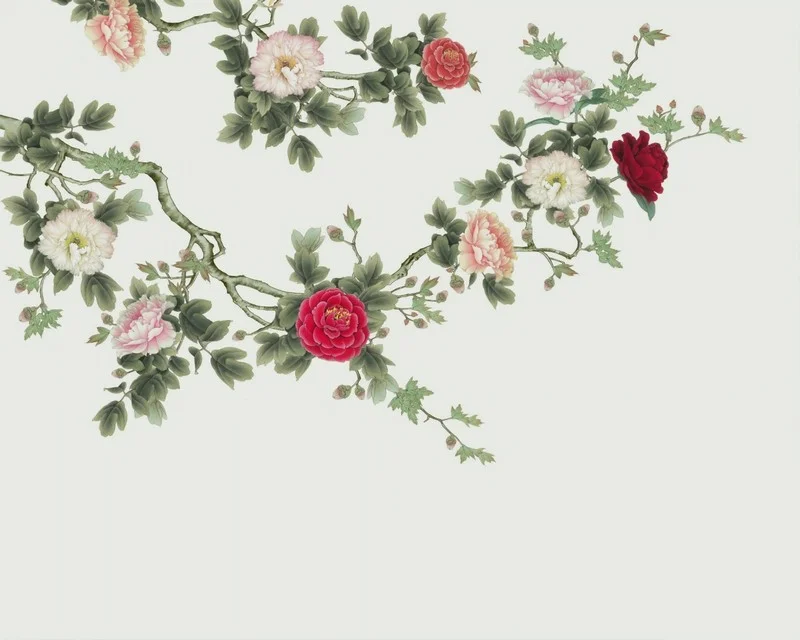 sut beyazi zemin uzerinde sarkan koyu kirmizi ve pembe saray gulu cicekleri duvar kagidi