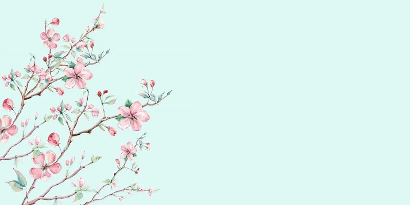 açık mavi pürüzsüz zemin üzerinde sol taraftan yükselen pembe çiçekli bahar dalları duvar kağıdı