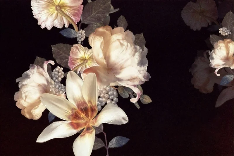 Trendyol beyaz zeminli pembe ortanca ve yüksük otu desenli dekoratif duvar posteri bursa ve Hepsiburada okaliptüs yapraklı şık salon duvar kağıdı modelleri