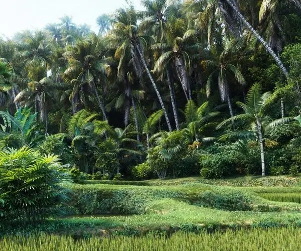 Ön Planda Yemyeşil Bitkiler ve Arka Planda Göğe Uzanan Sık Palmiye Ağaçlarıyla Tropikal Bir Bahçe Manzarası Sunan 3D Duvar Kağıdı Tasarımı