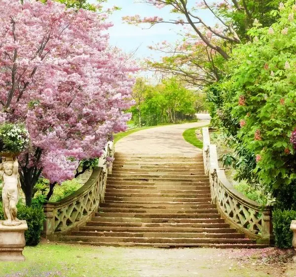 Doğa Manzara duvar kağıdı-dgmnz-131