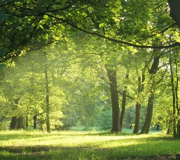 Doğa Manzara duvar kağıdı-dgmnz-140