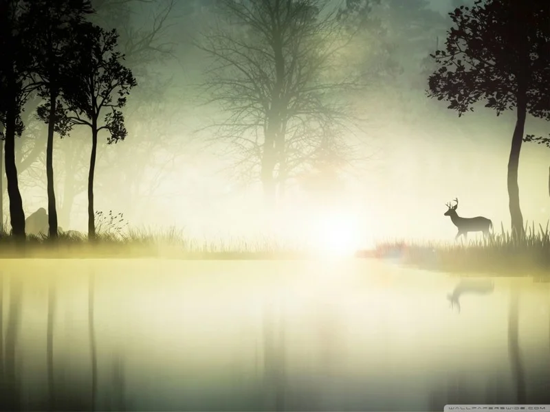 Doğa Manzara duvar kağıdı-dgmnz-144