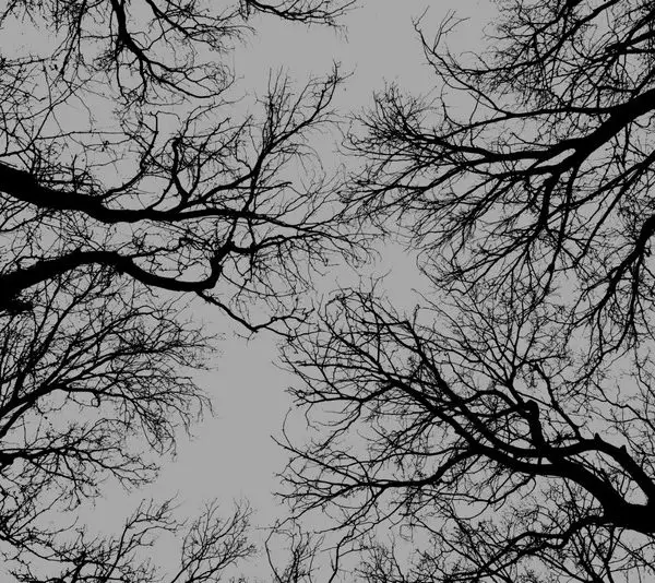 Doğa Manzara duvar kağıdı-dgmnz-145