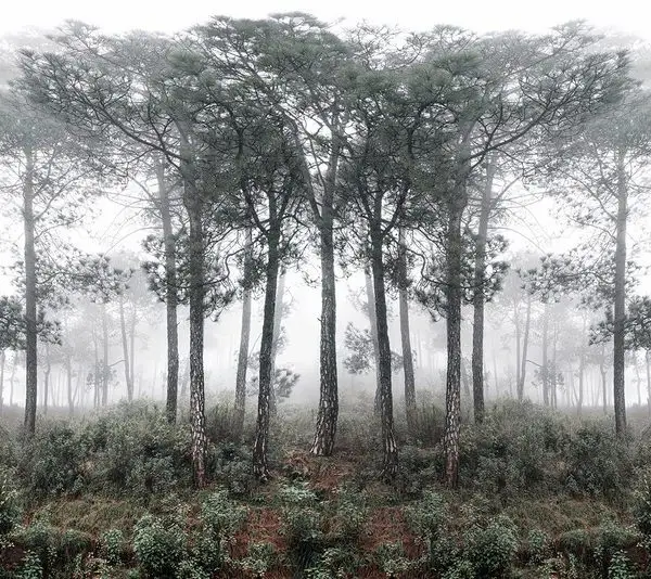 Doğa Manzara duvar kağıdı-dgmnz-148