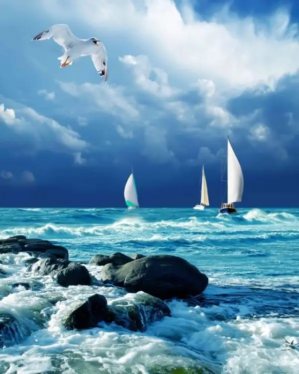 Kabaran mavi dalgalar, yelkenli tekneler ve martı figürlü 3D derinlik etkili deniz manzaralı duvar posteri.