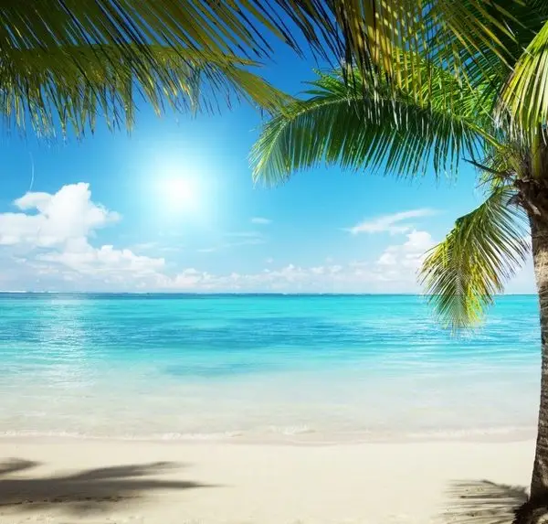 Palmiye ağaçları arasından görünen turkuaz deniz ve güneşli sahil temalı 3D derinlik etkili duvar posteri.