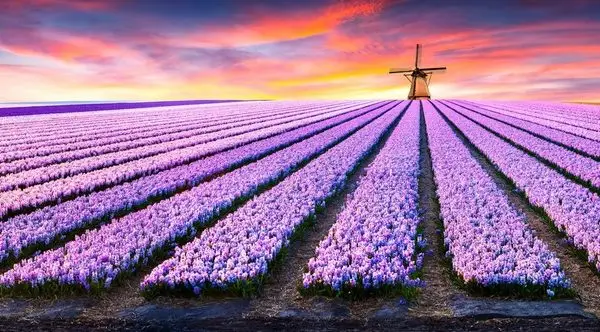 Doğa Manzara duvar kağıdı-dgmnz-152