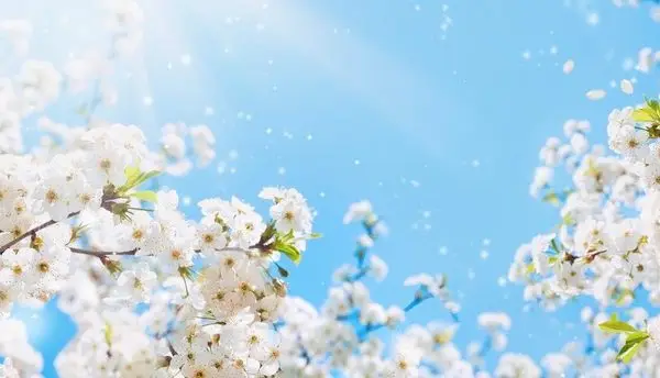 Doğa Manzara duvar kağıdı-dgmnz-153