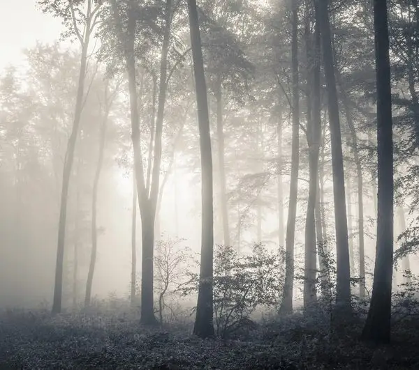 Doğa Manzara duvar kağıdı-dgmnz-159