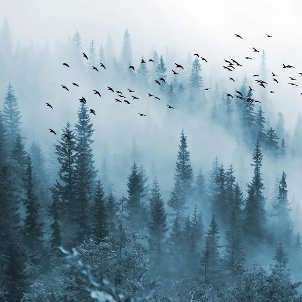 Doğa Manzara duvar kağıdı-dgmnz-161