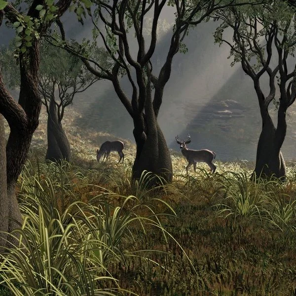 Doğa Manzara duvar kağıdı-dgmnz-164