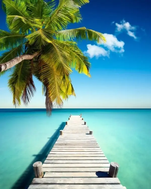 Turkuaz deniz üzerine uzanan ahşap iskele ve palmiye ağacı temalı 3D derinlik etkili tropikal duvar posteri.