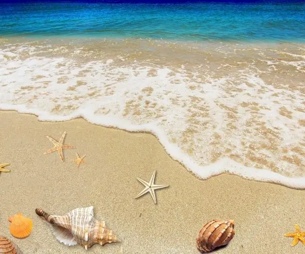 Sahil kumları üzerinde deniz yıldızları, deniz kabukları ve beyaz köpüklü dalgalar manzaralı dikişsiz duvar posteri.