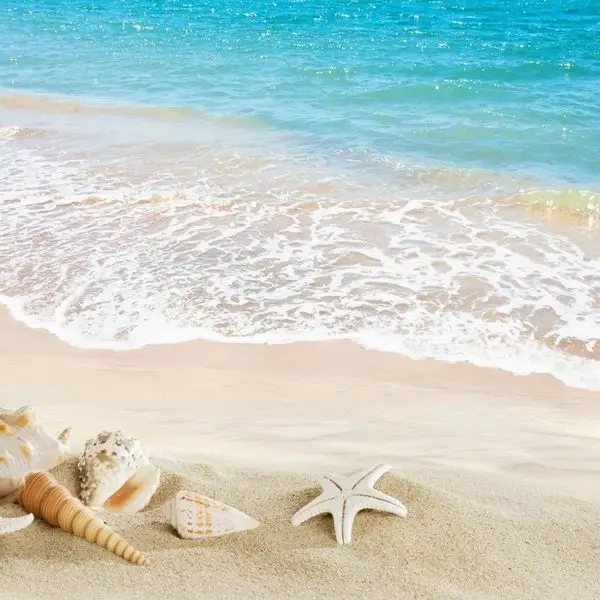 Sahil kumu üzerinde deniz yıldızları deniz kabukları ve berrak turkuaz su manzaralı dikişsiz duvar posteri.