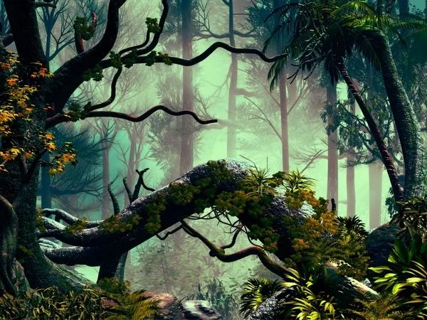 Doğa Manzara duvar kağıdı-dgmnz-176