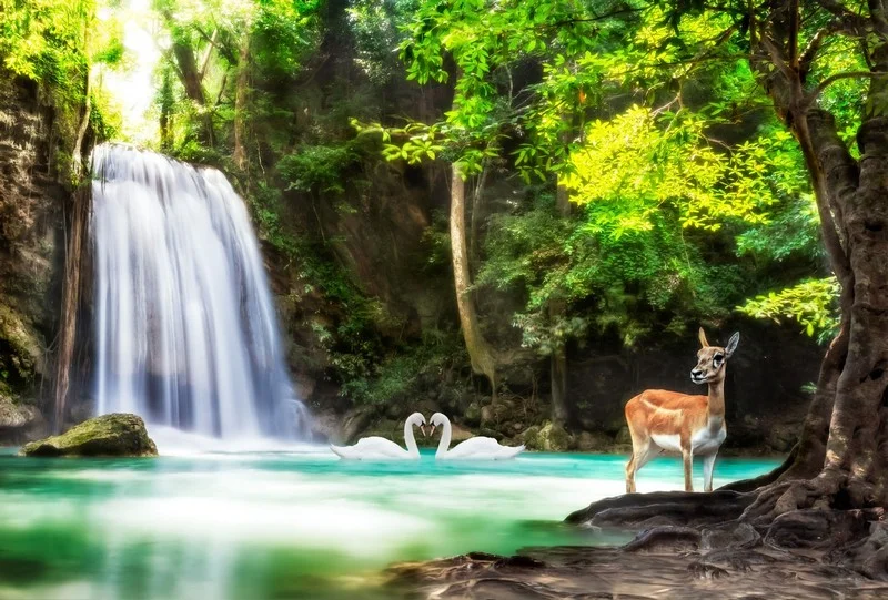 Doğa Manzara duvar kağıdı-dgmnz-219