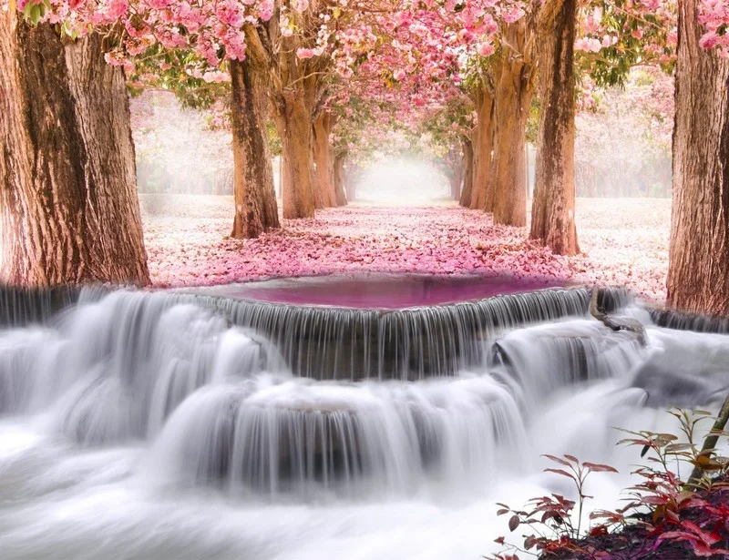 Doğa Manzara duvar kağıdı-dgmnz-223